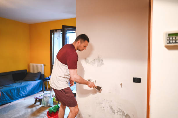 Best Emergency Mold Removal  in Chebanse, IL